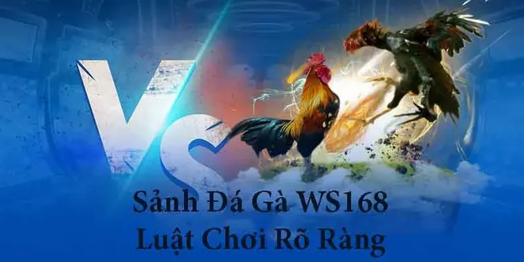 Kinh Nghiệm Chơi Đá Gà WS168 Xoso333 Bách Phát Bách Trúng Cho Tân Thủ