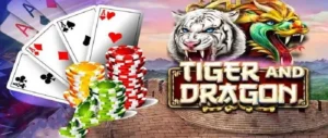 Bí Kíp Chơi Dragon Tiger Thắng Lớn Tại Xoso333 Cho Người Mới Bắt Đầu